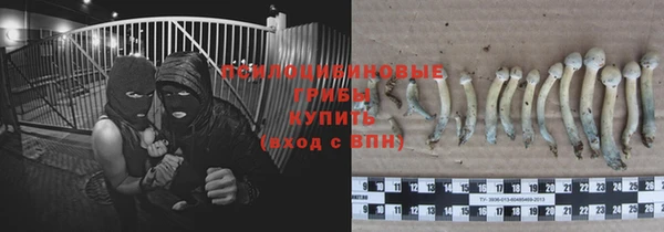не бодяженный Алзамай