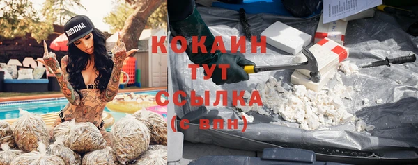 не бодяженный Алзамай