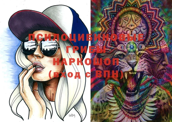 PSILOCYBIN Алексин