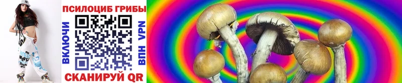 Псилоцибиновые грибы Magic Shrooms блэк спрут ССЫЛКА Королёв что такое наркотик